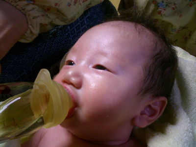 mugicha2